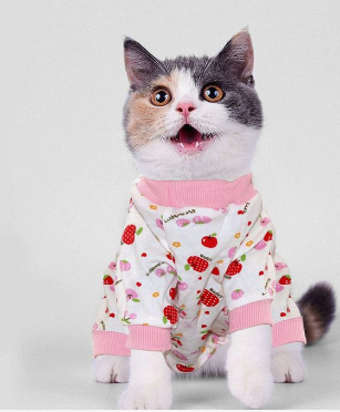 Discover the surprising benefits of pet pajamas! From warmth and comfort to reduced shedding, explore our guide to find the perfect PJs for your furry friend.