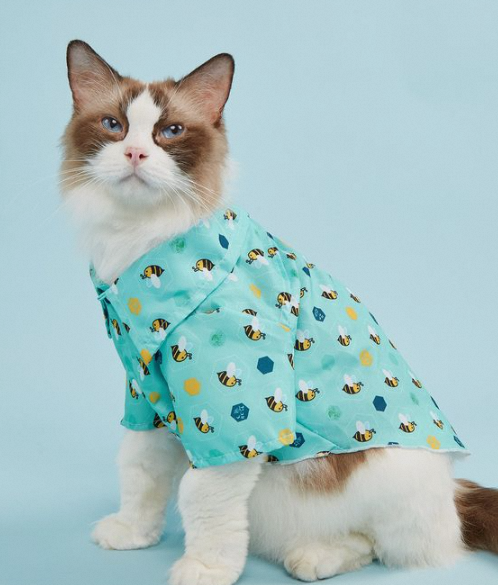 Pampered Pets: The Ultimate Guide to Pets Pajamas插图