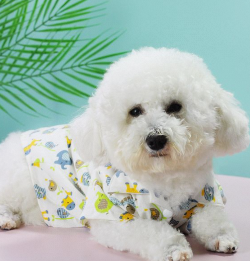 Pampered Pets: The Ultimate Guide to Pets Pajamas插图1