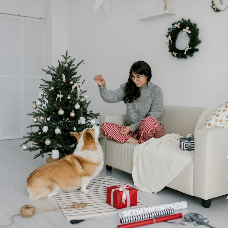 christmas sleepwear