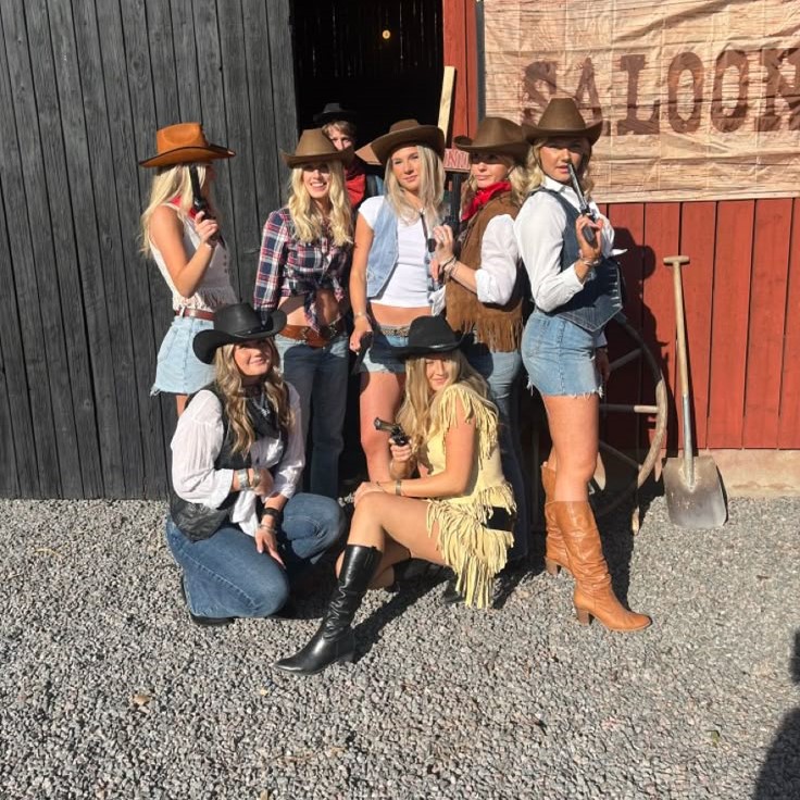 preppy cow girl costume