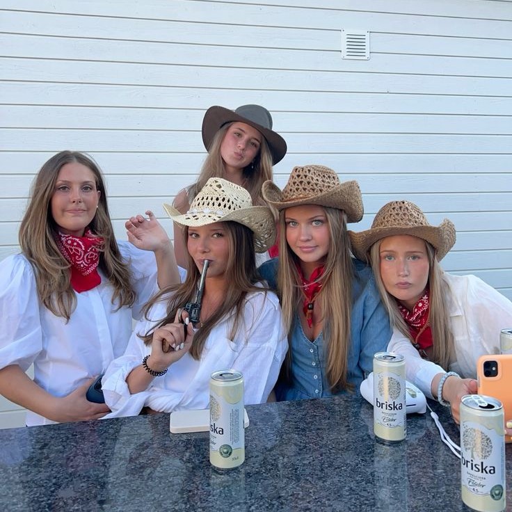 preppy cow girl costume